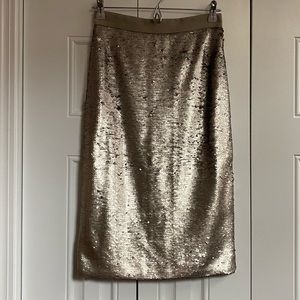 Sequin skirt Banana Republic.